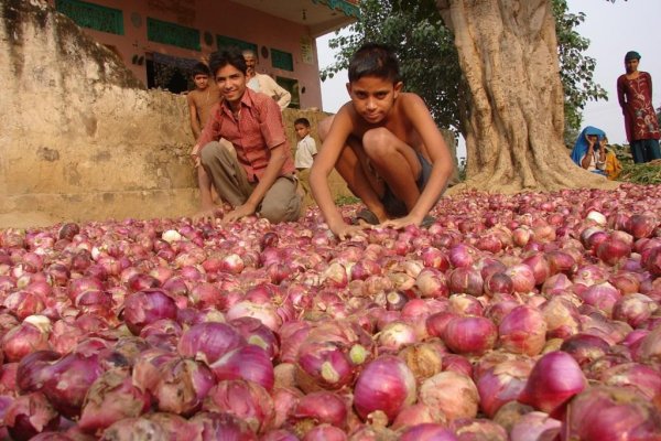 Tor сайт кракен kraken ssylka onion com