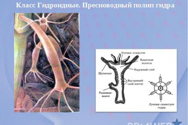 Омг заказ наркотиков