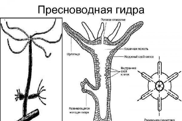 BlackSprutruzxpnew4af union зеркала